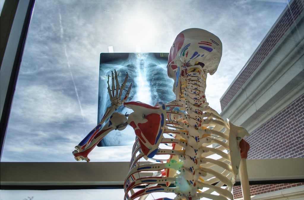 Curious minds reshaping physics